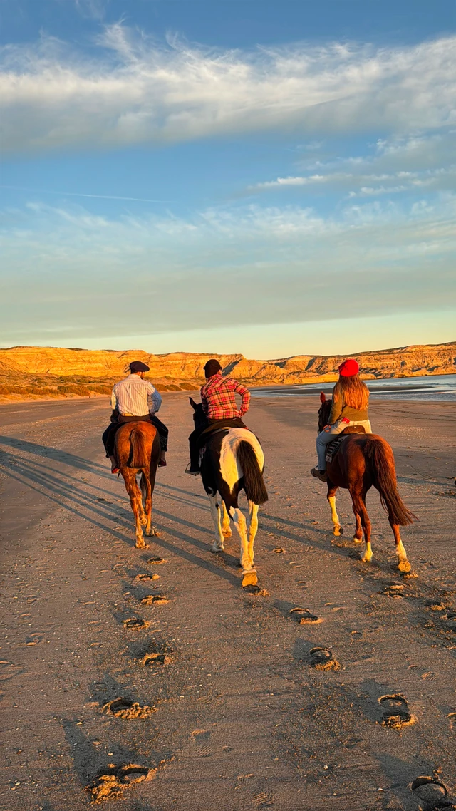 Jinetes a caballo sobre la arena húmeda de la playa del Molino Chico