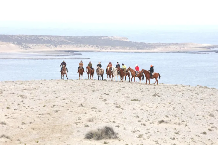 Grupo de jinetes alineados sobre la estepa con el mar de fondo