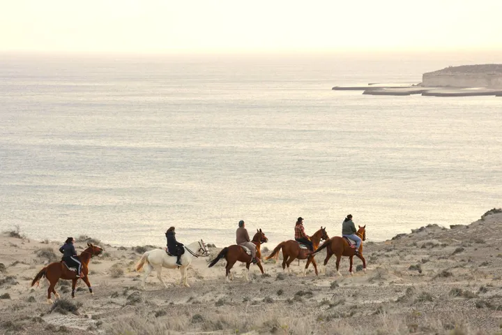 Jinetes en fila cabalgando por la ladera frente al golfo al atardecer