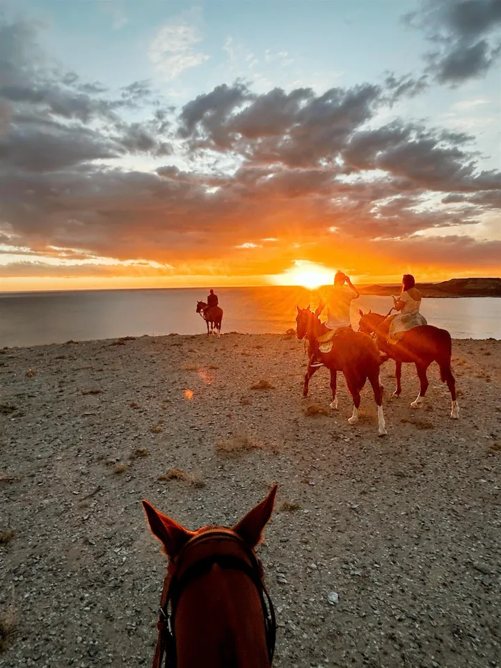 Cabalgata al atardecer frente al mar, vista desde arriba del caballo