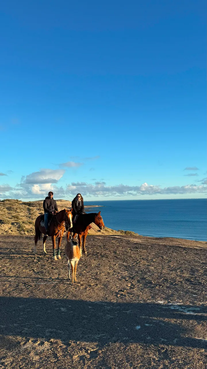 Jinetes junto a un guanaco frente al mar azul de Punta Pardelas